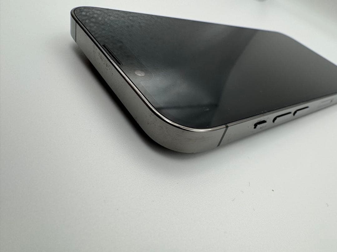 iPhone 13 Pro 256GB グラファイト(Ear Pods付き)