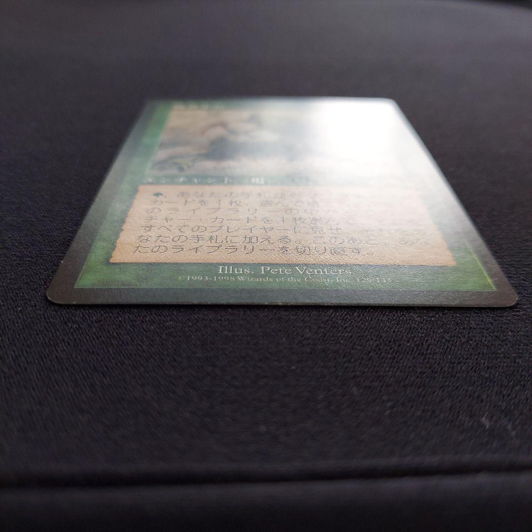 MTG 適者生存　エクソダス　日本語版　緑属性　エンチャント