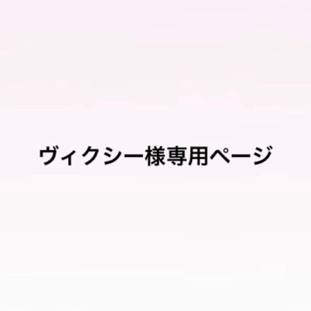 ヴィクシーページ