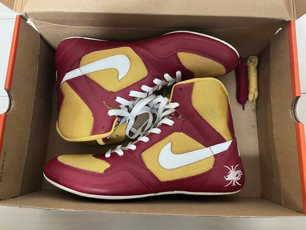 レア　Nike Greco Supreme 28.0cm 中田英寿コラボモデル