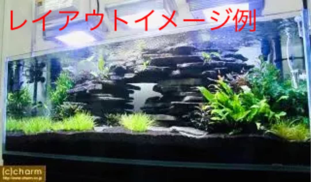 ボーナス軽大水槽Set120×45×45 コトブキ浄化槽 サンゴ 大型魚 アカメ