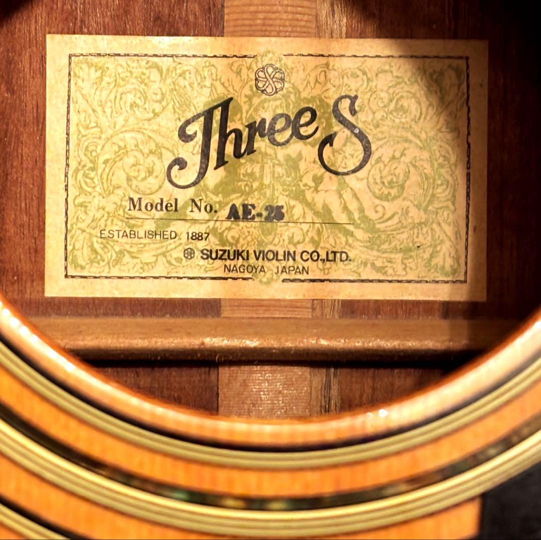 【エレアコ化】ThreeS AE-25 牛骨サドル＆3点式PU搭載 調整済　JV