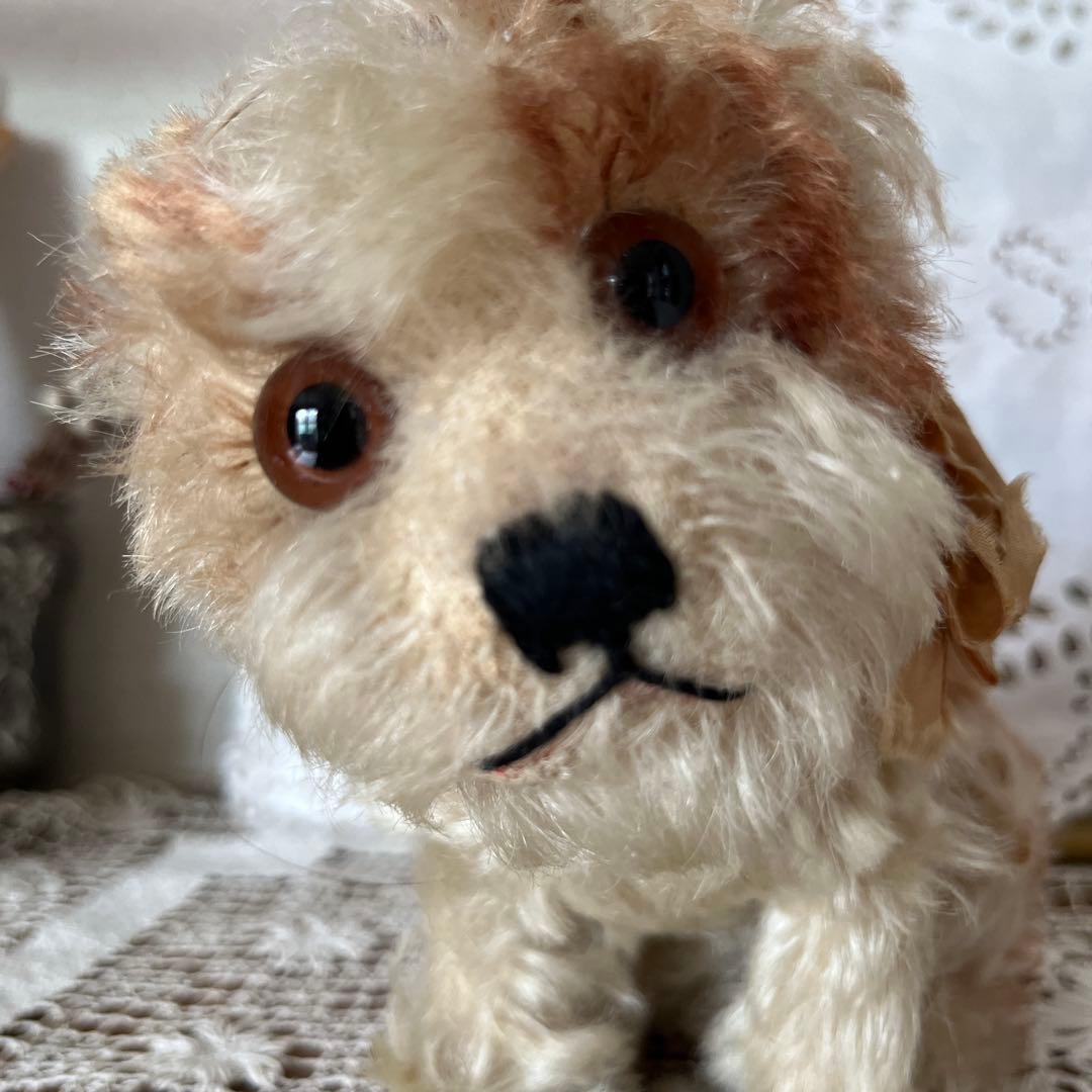 シュタイフ　犬のぬいぐるみ　Molly Puppy Steiff タグボタン有