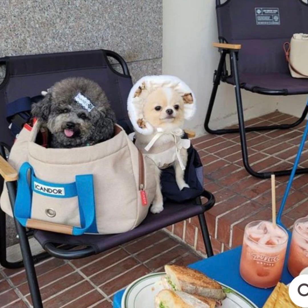 ICANDOR キャリーバッグ ベージュMサイズ