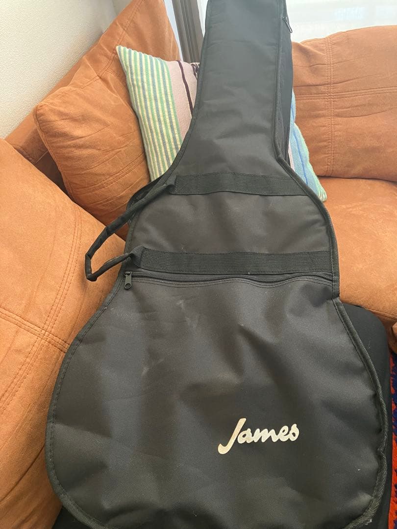 James J-450D/SPL VNT アコースティックギター Guitar