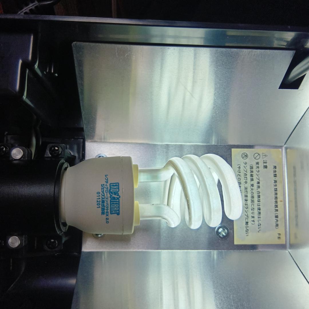 エキゾテラ　グラステラリウム　ナノ　GEX