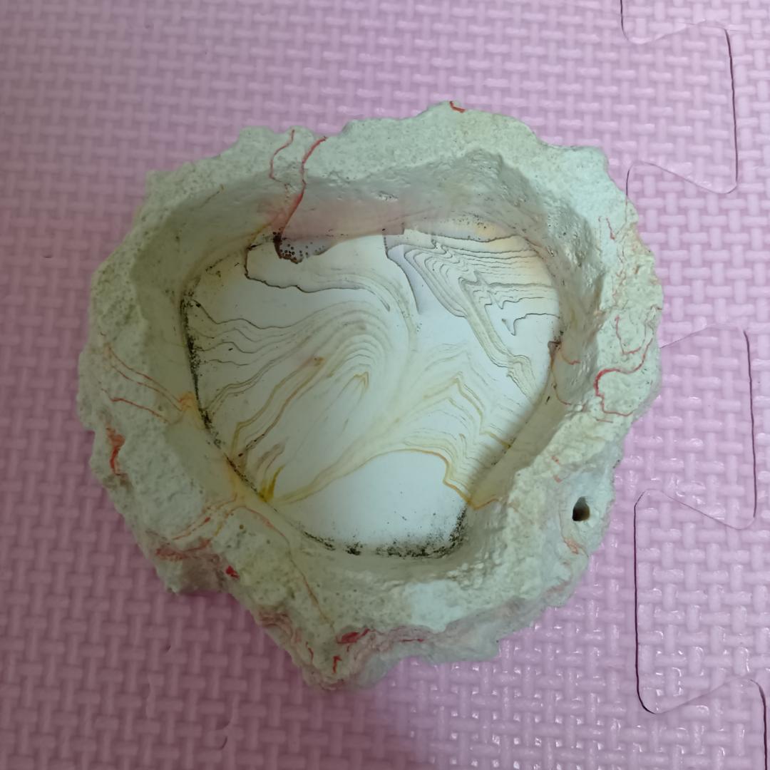 エキゾテラ　グラステラリウム　ナノ　GEX