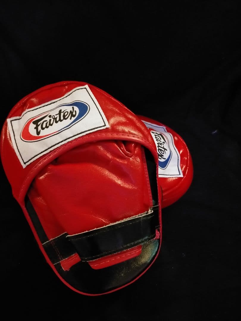 フェアテックス Fairtex パンチミット