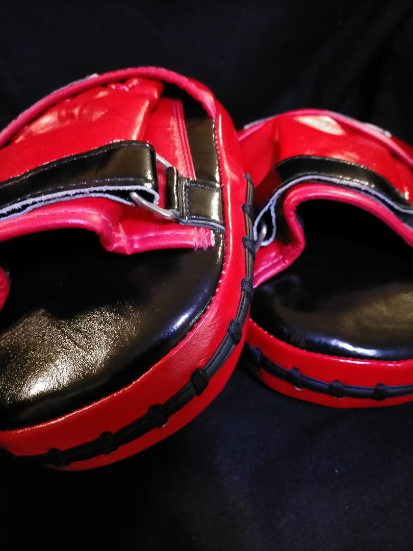 フェアテックス Fairtex パンチミット