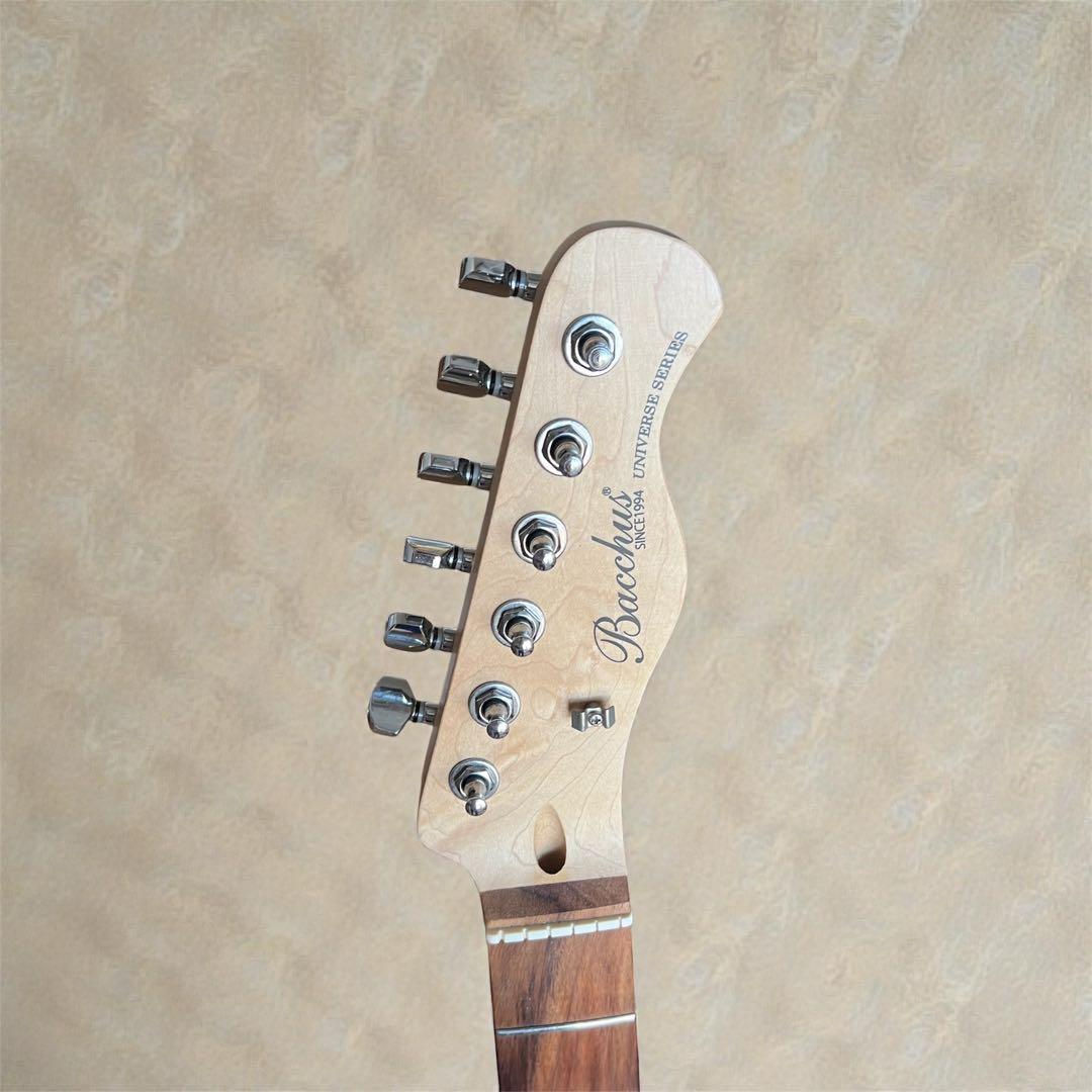 ギター Bacchus universe tele BTC-1R/DLPB