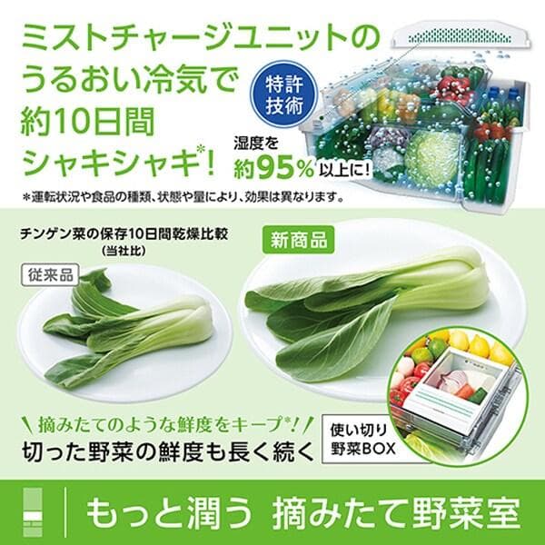 M1012X 東芝 6ドア冷蔵庫VEGETA GR-V550FZS 2023年