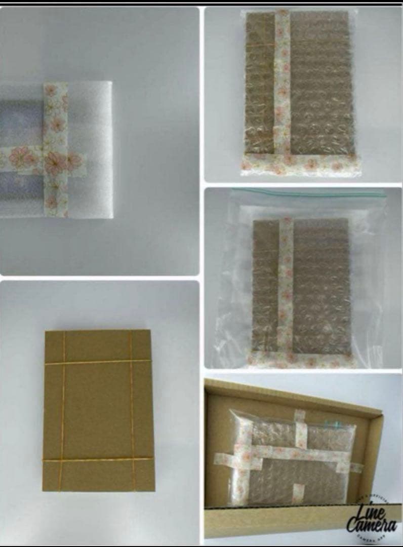 PSA10 ポケモン展覧会　化石博物館　10days in 長崎　ステッカー