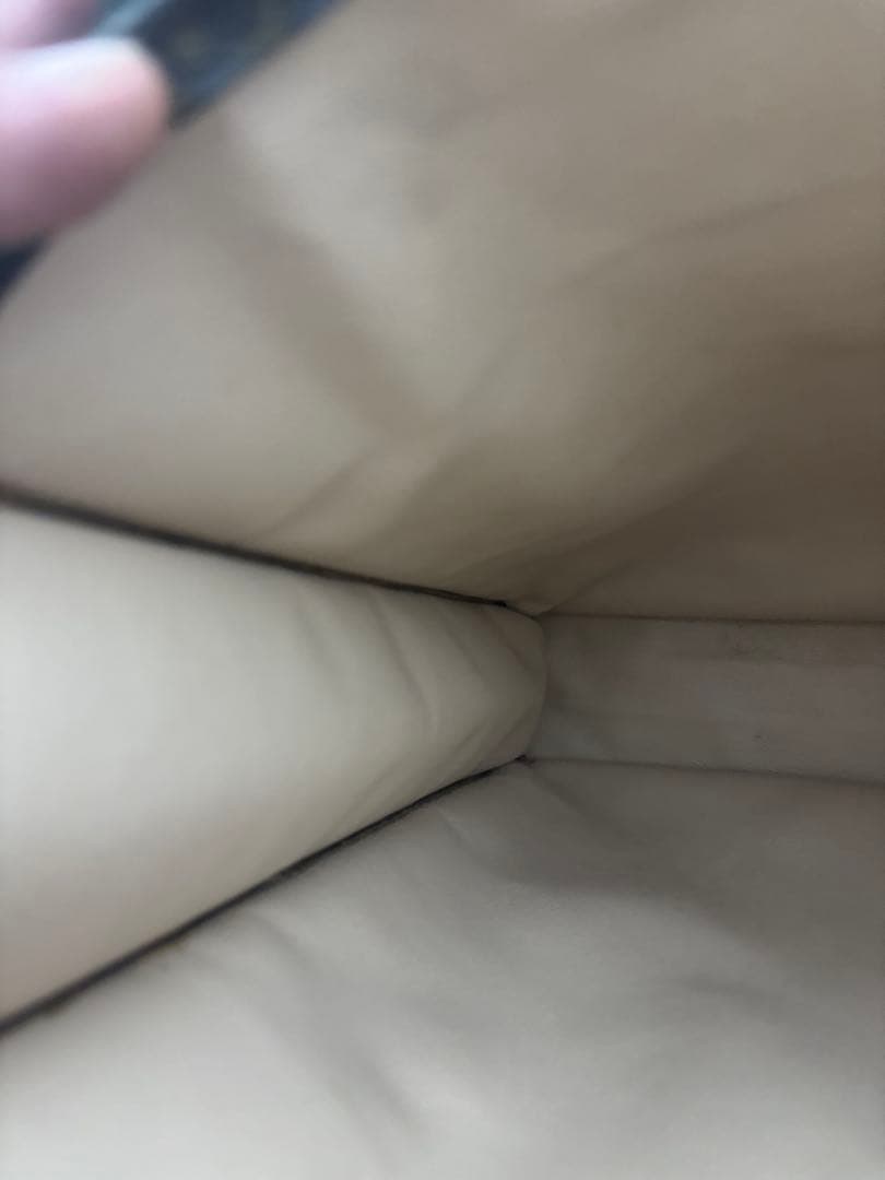 LOUIS VITTON サックプラ 美品 ベタつきなし ルイヴィトン