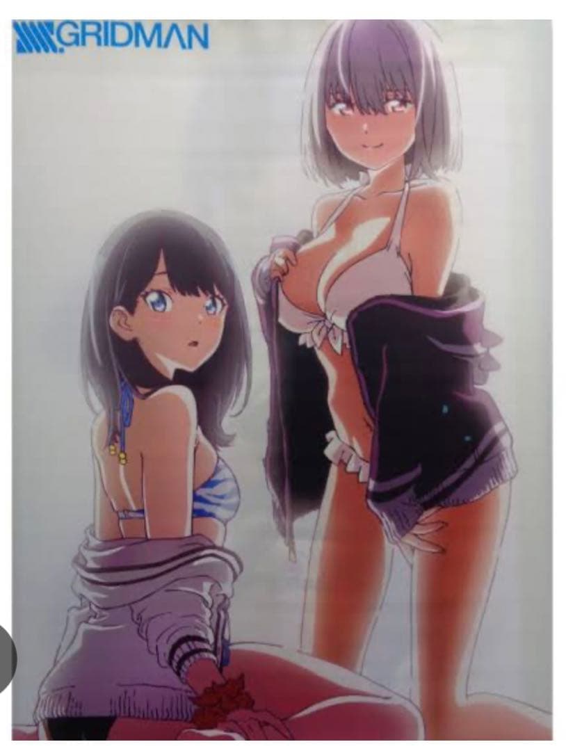 ⭐️ 希少 レア グリッドマン 水着 宝多六花 新条アカネ タペストリー