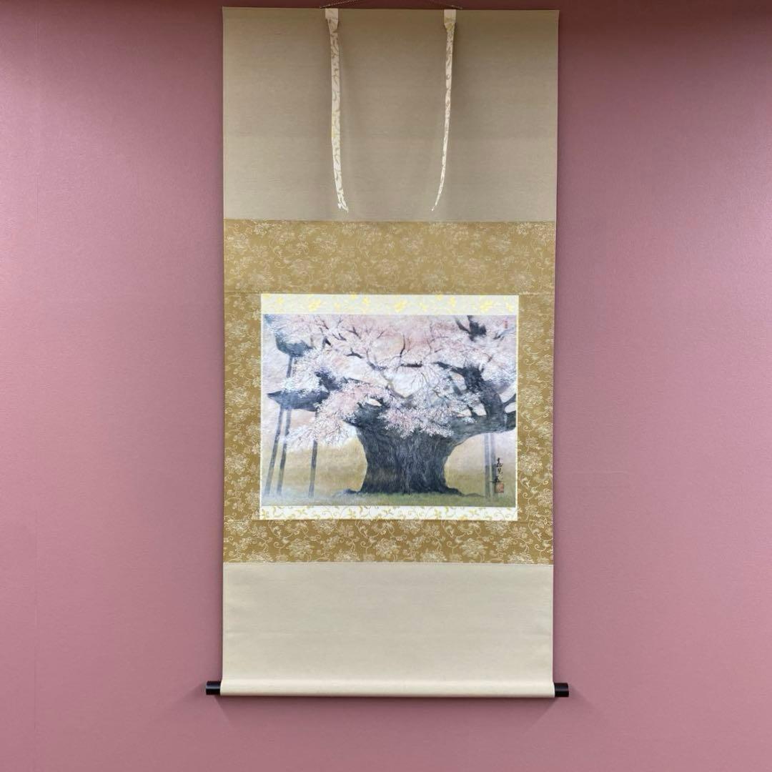 美品 掛け軸 伊藤嘉晃作 淡墨桜図 共箱 さくら 縁起物 美術年鑑掲載
