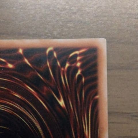 遊戯王 ブルーアイズ・トゥーン・ドラゴン