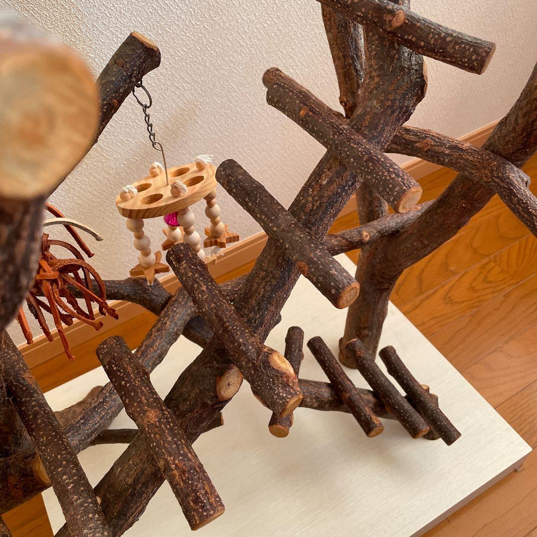 鳥さん用のアスレチックジム