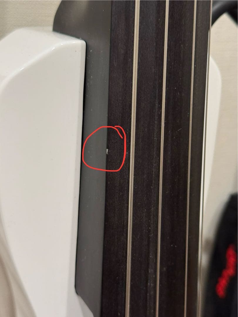 Stagg 中古サイレントチェロ・電子チェロ 弓・ケース付き 即購入可