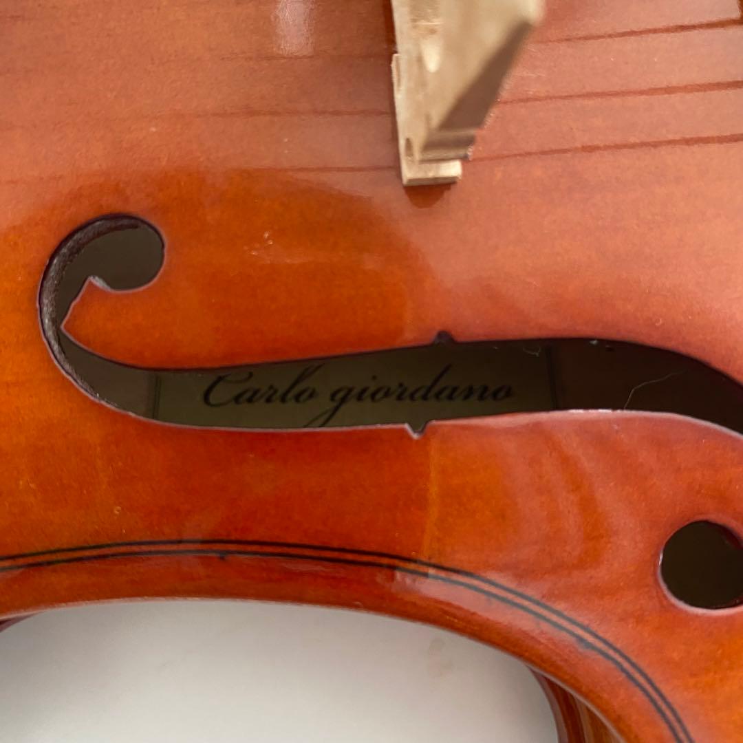 Carlo giordanoカルロジョルダーノ VS-1 3/4 ケース付