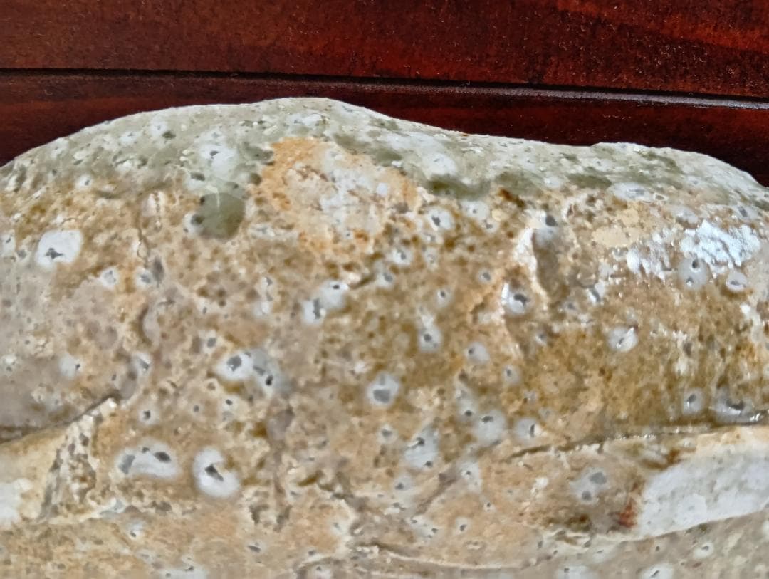 蓮善隆　灰釉平向付５客セット（伊賀焼）