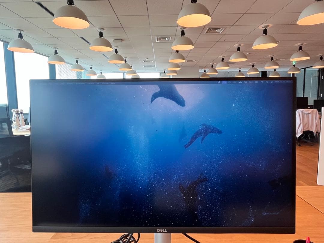 【美品】Dell S2721QS 27インチ 4Kモニター 箱あり