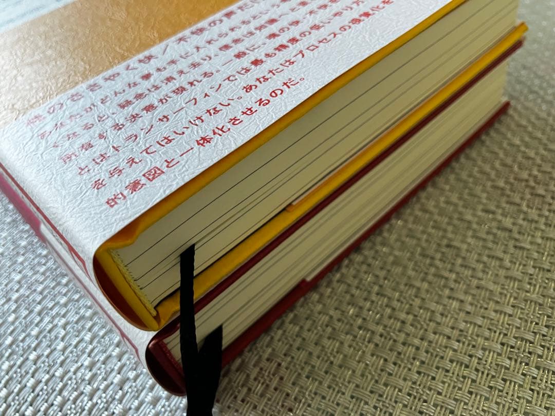 【2冊セット】振り子の法則リアリティ・トランサーフィン ヴァジム・ゼランド著