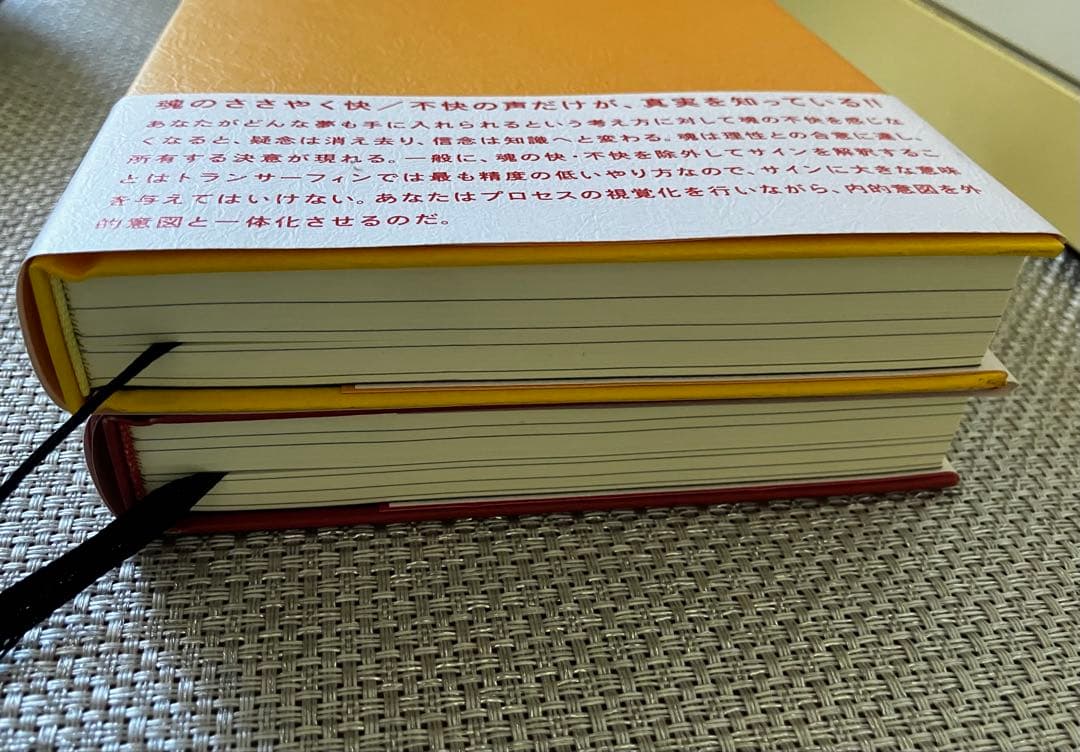 【2冊セット】振り子の法則リアリティ・トランサーフィン ヴァジム・ゼランド著