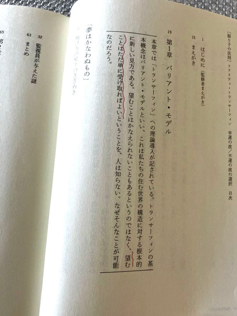 【2冊セット】振り子の法則リアリティ・トランサーフィン ヴァジム・ゼランド著