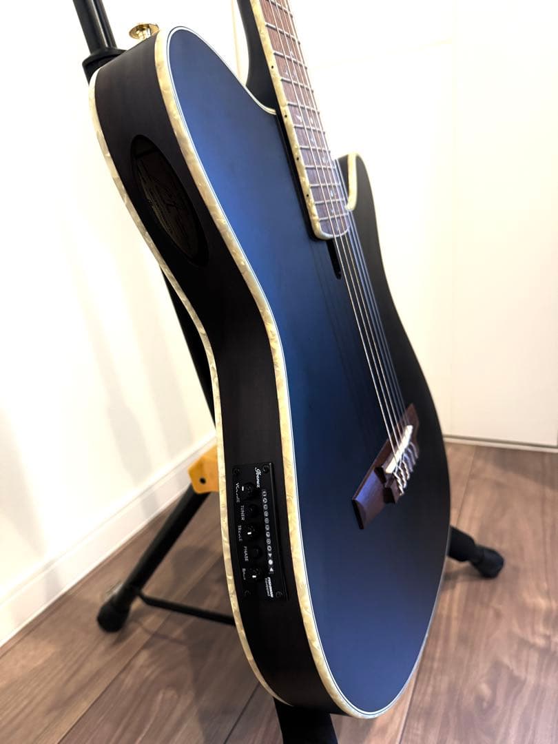 Ibanez TOD10N TKF エレガット Tim Henson