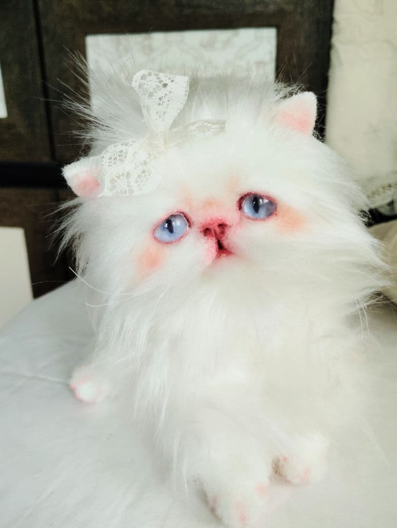 綺麗なオメメの女の子❤エキゾチック子猫ちゃん♡アートドール♡ぬいぐるみ♡