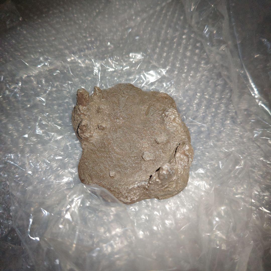 ゴジラ　特撮大百科　怪物0　キングギドラ