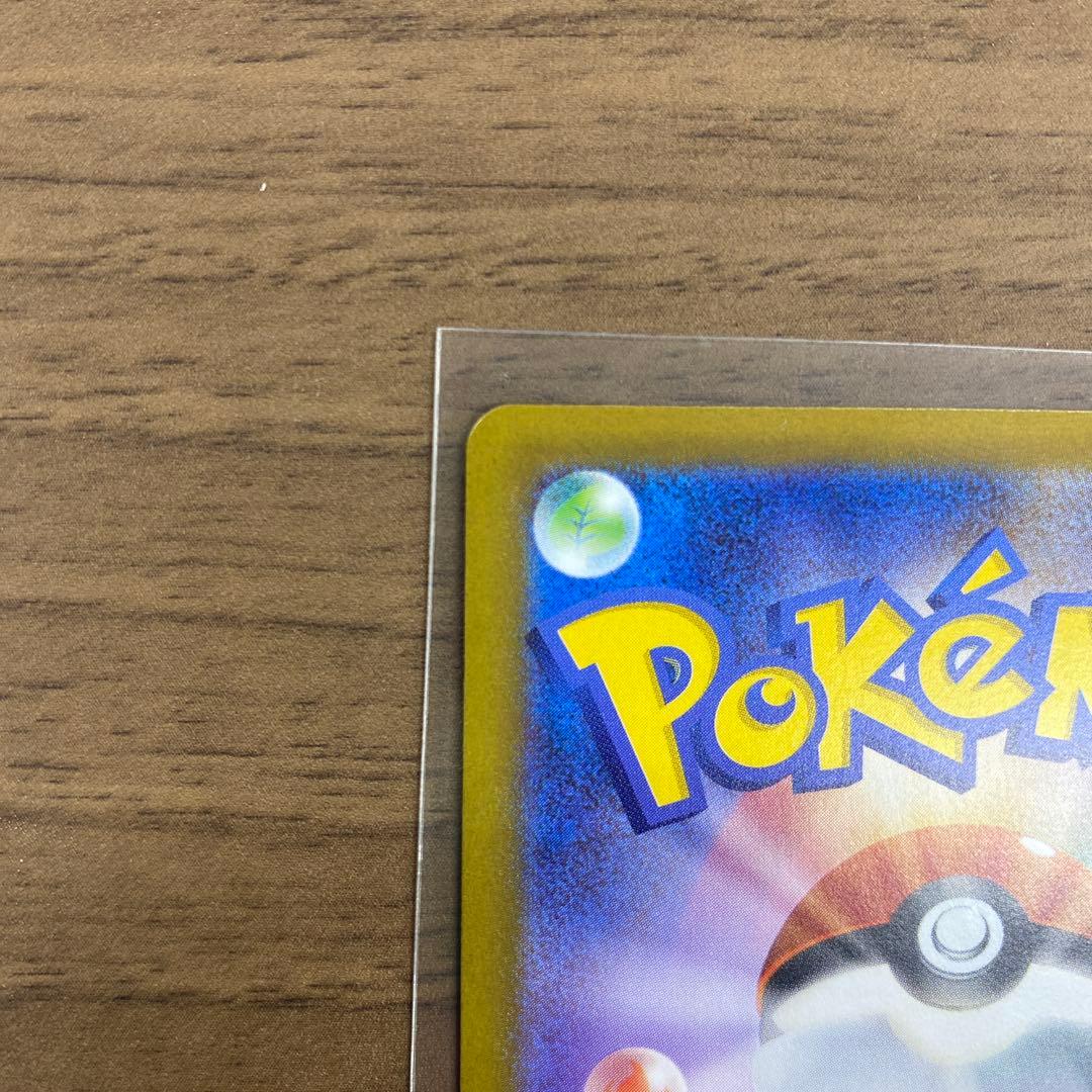 メガリザードンX EX 117/100 SR