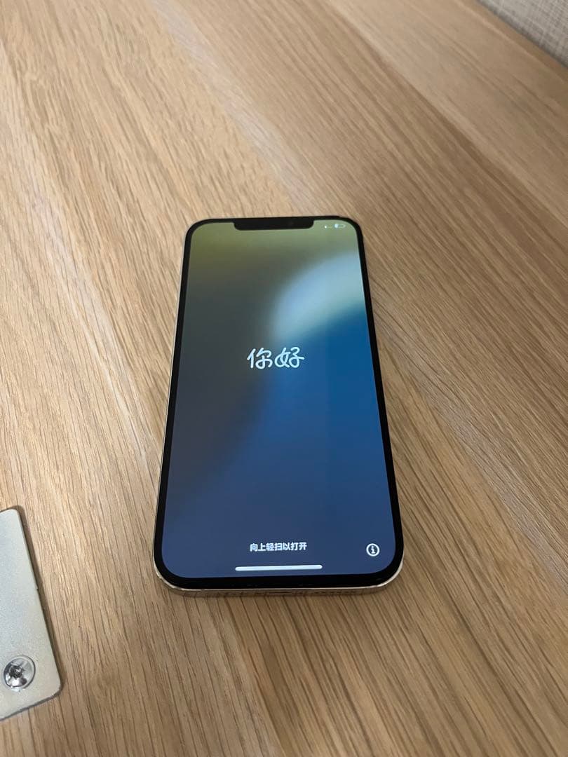 iPhone12 ProMax 216GB ジャンク品