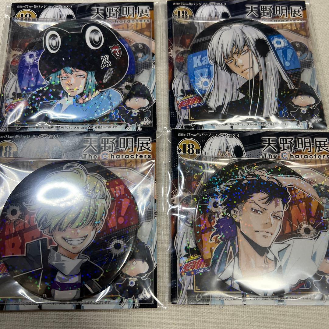 【全キャラコンプ】天野明展 家庭教師ヒットマンREBORN!缶バッジver.B