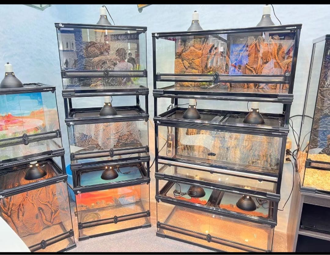 爬虫類用品卸 爬虫類飼育ガラスケージ両生類飼育ケージ603030(cm引取り限定