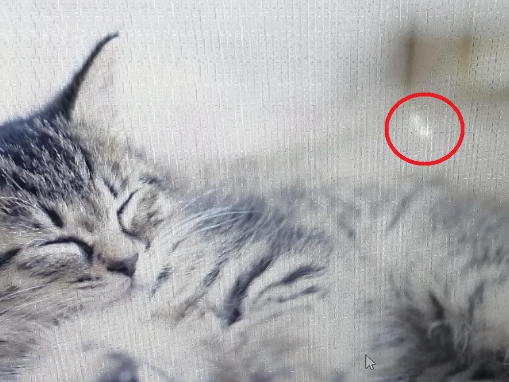 A002Windows11ノートパソコン爆速SSDメモリ16Goffice互換