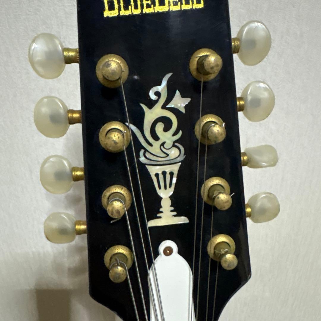BlueBell ブルーベル フラット マンドリン ビンテージ　ギター　楽器