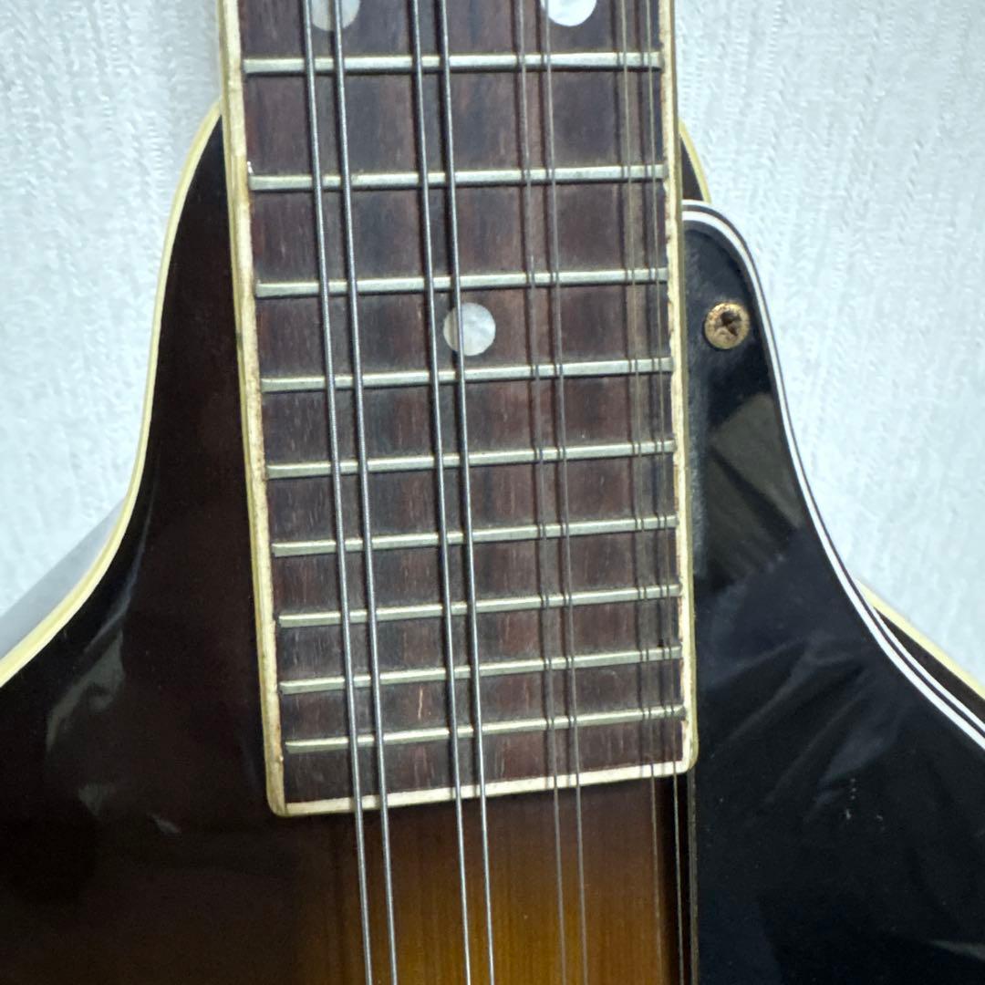 BlueBell ブルーベル フラット マンドリン ビンテージ　ギター　楽器