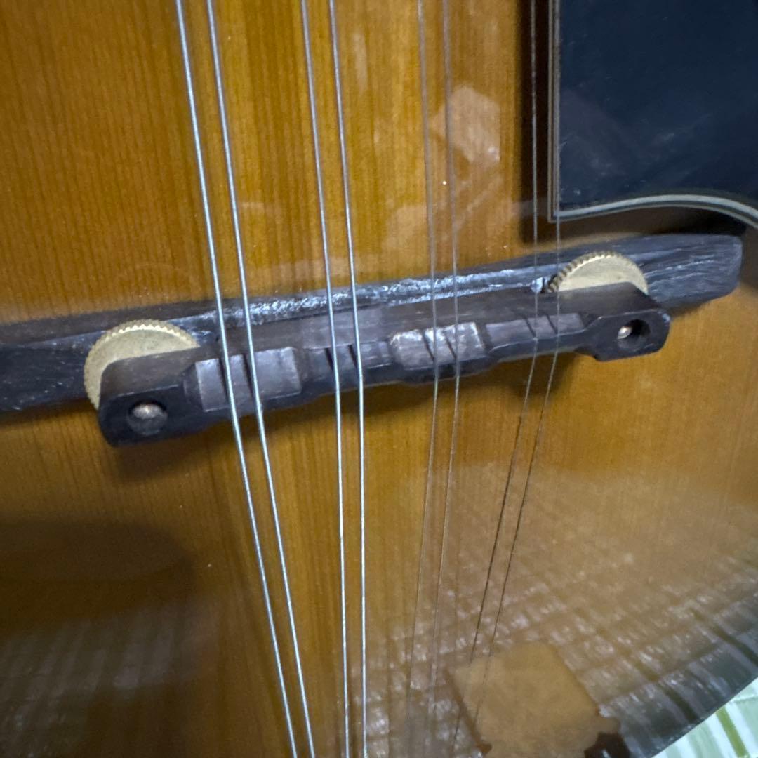 BlueBell ブルーベル フラット マンドリン ビンテージ　ギター　楽器