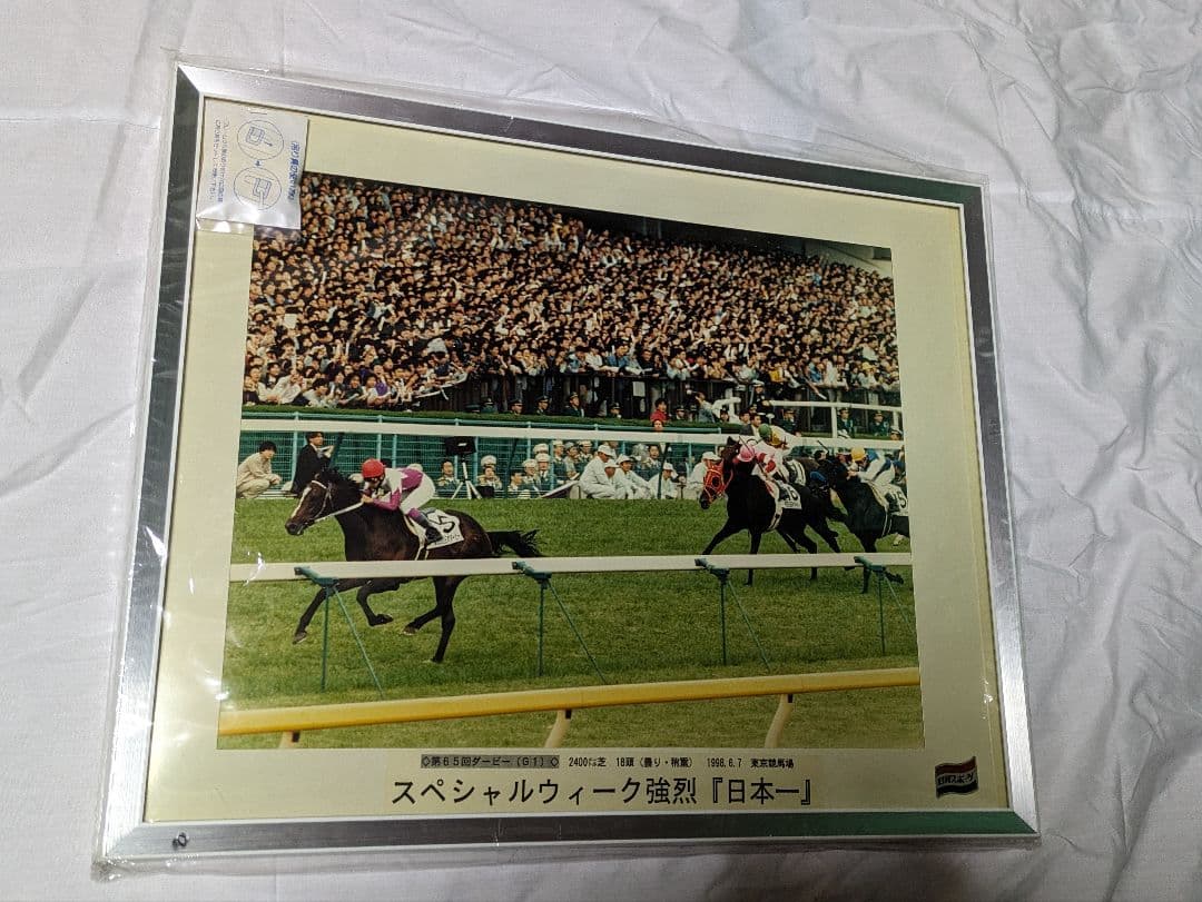 スペシャルウィーク　武豊　日本ダービー　競走馬　パネル　額縁　スポーツ新聞付き
