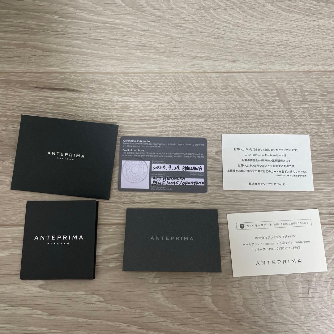 ANTEPRIMA アンテプリマ スタンダード ミニアトゥーラ シルバーゴールド