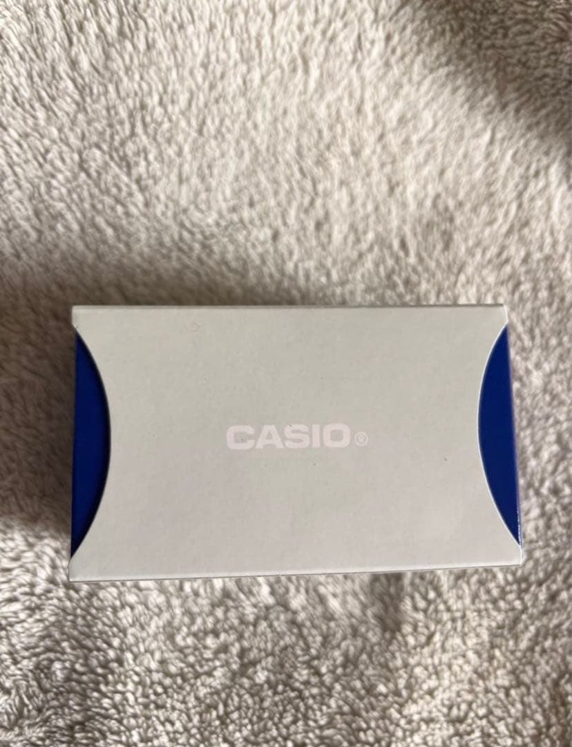 【新品・未使用】CASIO カシオ AQ-240E-3AJF