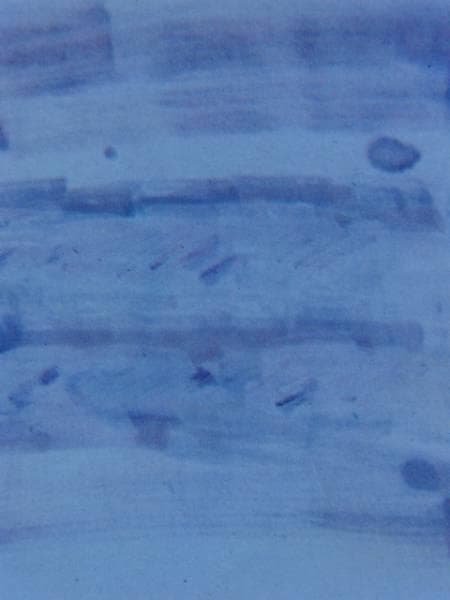 Jean Fautrier、Composition 473、希少画集画