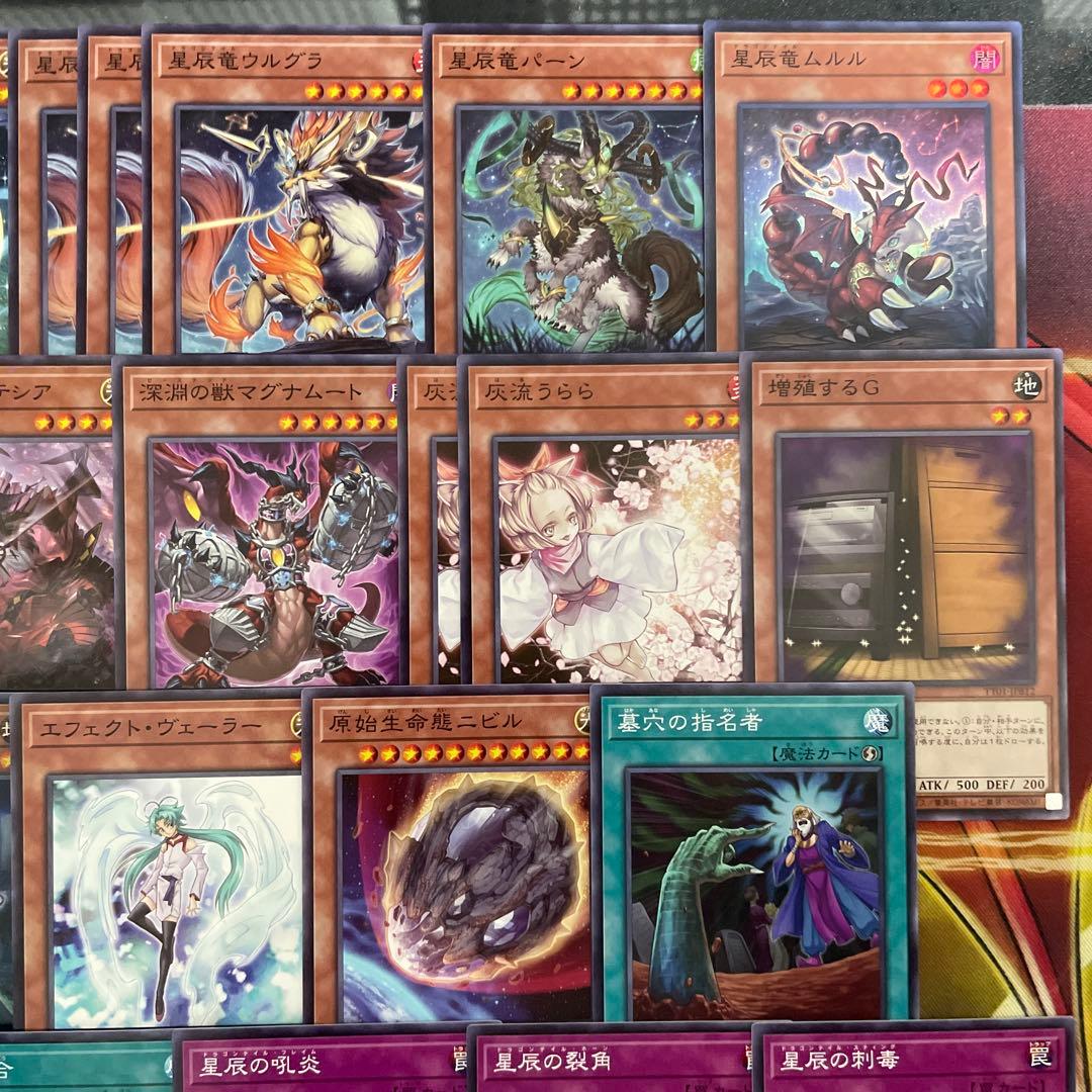 優勝構築 烙印ドラゴンテイルデッキ ファイメナ 黒き竜のエクレシア 白き竜の落胤