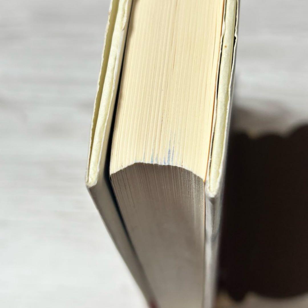 【メルカリ便】円の支配者 : 誰が日本経済を崩壊させたのか　リチャード　希少