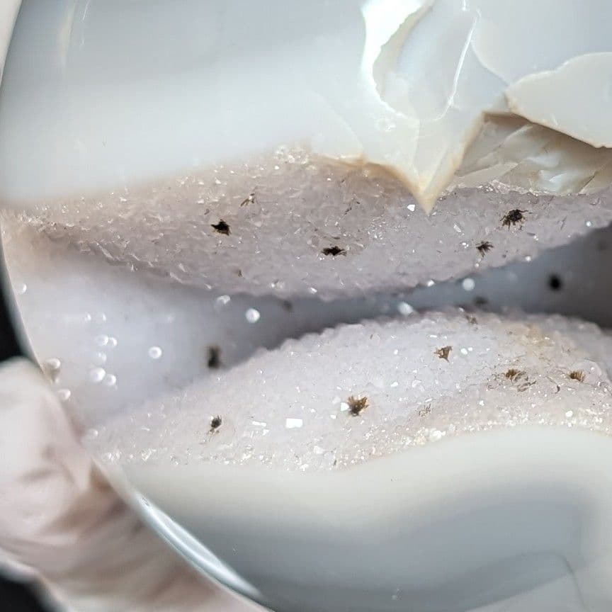 笑口 ジオード瑪瑙 スフィア