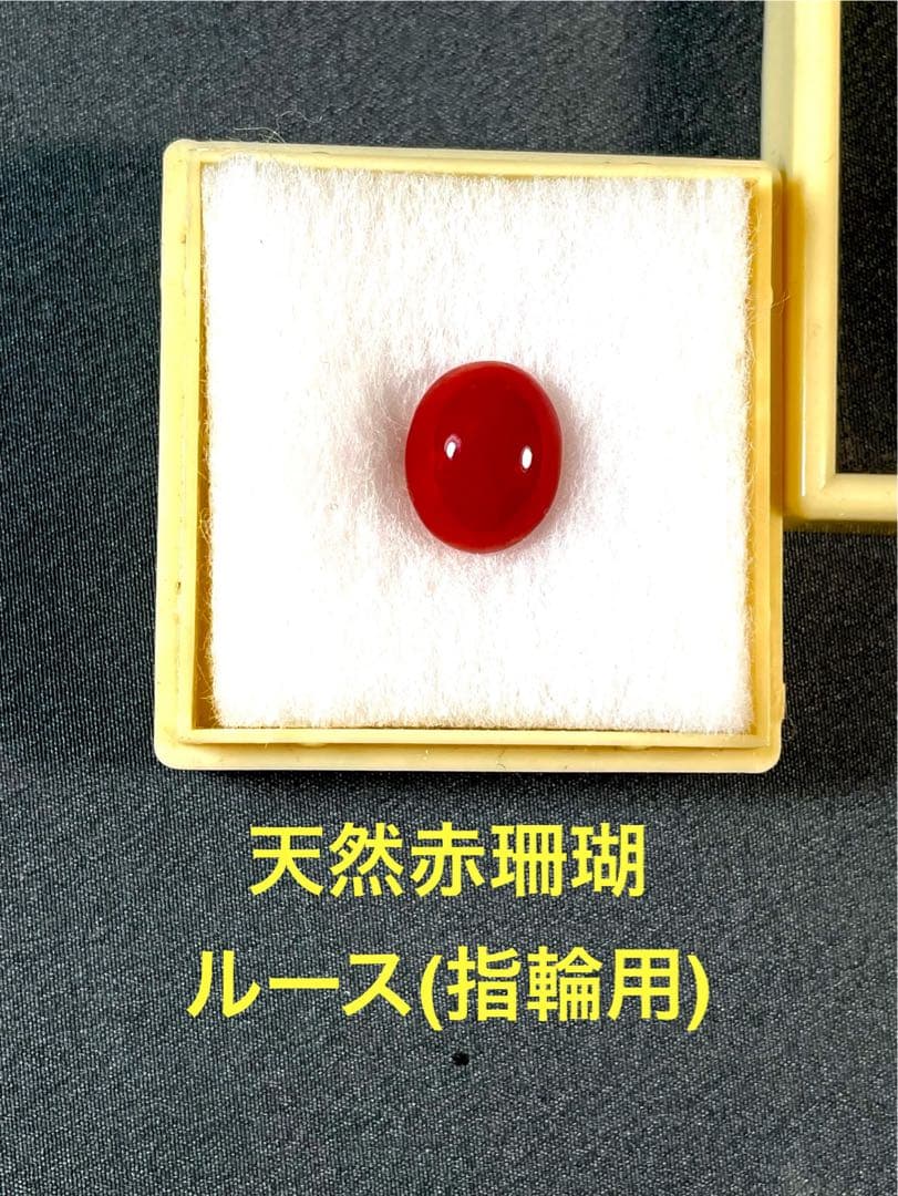 天然赤珊瑚 ルース (指輪用) Ｌー33