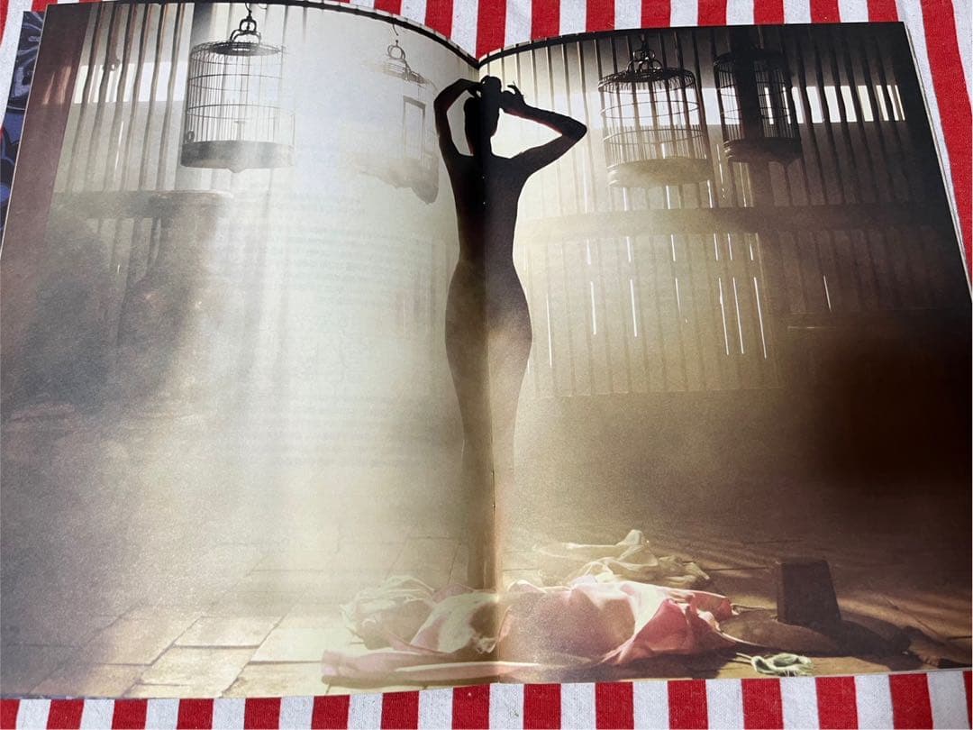 キム・ナムギル 美人図 プレスシート 非売品