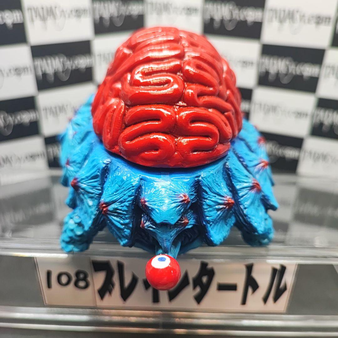 108ブレインタートル