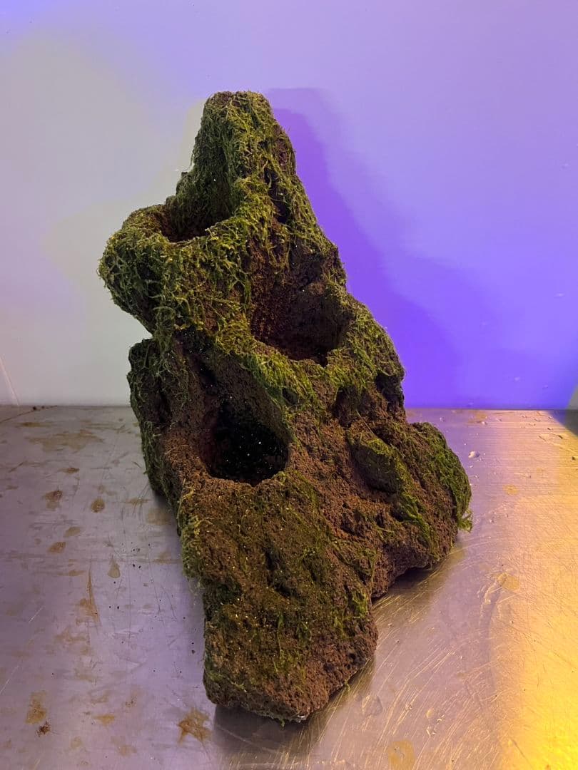 ADA 雲山石XLとLの２個セット